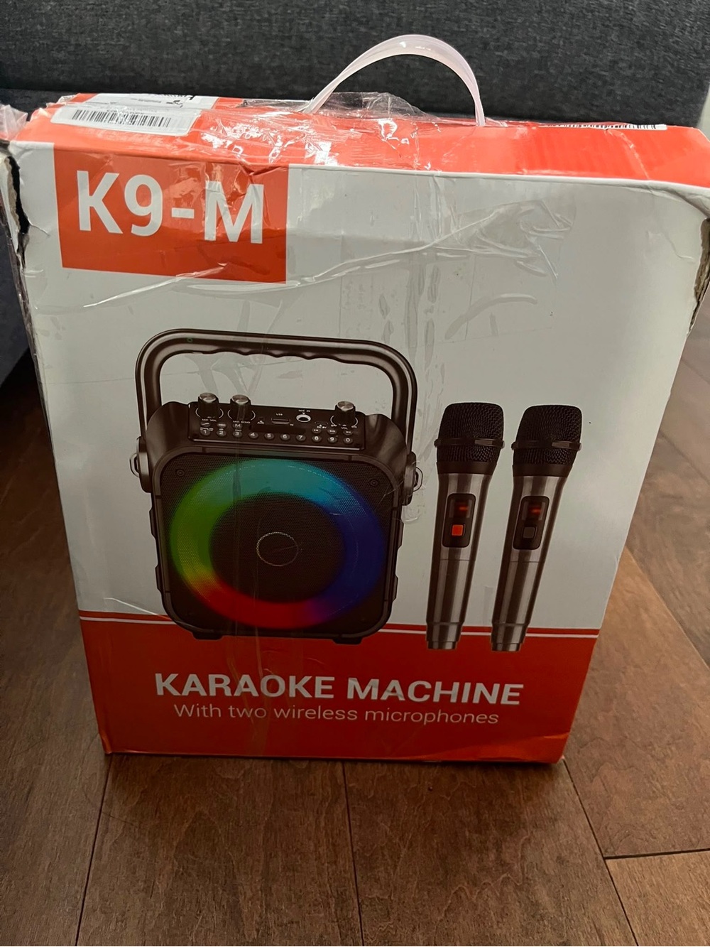 Portable Karaoke Machine with Dual Wireless Microphones - Black